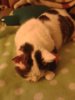 20141205_175324.jpg