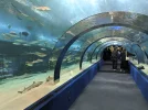 IMG_20251004_115547.webp