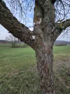 1000056331.webp
