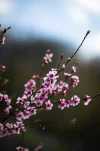 GZ7_8770.webp