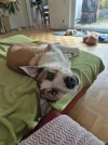 IMG-20260401-WA0003.webp