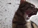 1000063162.webp