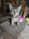 1000068897.webp