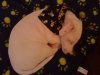 DSC00581.JPG