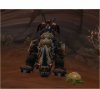 WoWScrnShot_020212_120504.jpg