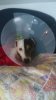 IMG-20120215-WA0003.jpg