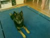 17082009_004.jpg