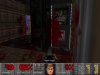 Screenshot_Doom_20150217_113449.png