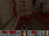 Screenshot_Doom_20150217_113729.png