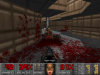 Screenshot_Doom_20150217_113818.png