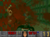 Screenshot_Doom_20150217_114858.png