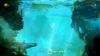 Ori (4).png