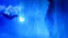 Ori (5).png