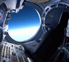 catjump.gif