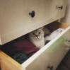 Bildschirmfoto 2015-10-01 um 21.53.46.png