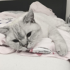 Bildschirmfoto 2015-10-01 um 21.54.02.png