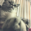Bildschirmfoto 2015-10-01 um 21.54.26.png