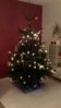 WIN_20151223_21_07_47_Pro.jpg