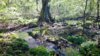 LrMobile0505-2016-0553824337105767-800x450.jpeg
