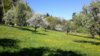 LrMobile0505-2016-05541425278818678-800x450.jpeg