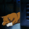 Ein.gif