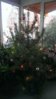 WP_20131221_0021.jpg