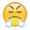 upload_2017-4-24_18-30-46.jpeg