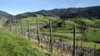 IMG-20170502-WA0000.jpg