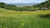 IMG-20170526-WA0005.jpg