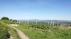 IMG-20170526-WA0004.jpg