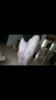 Screenshot_2017-07-23-13-59-34.png Screenshot_2017-07-23-13-59-34.png