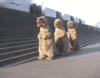 3rgXBvnbXtxwaWmhr2.gif