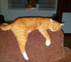 20171101_202053.jpg