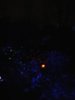 IMG_20180310_211048.jpg