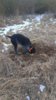 IMG-20180319-WA0011.jpg