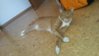20140314_115342.jpg