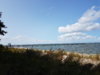 20180821_132152.jpg