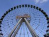 IMG_20180908_165446.jpg