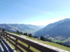 20180916_113959.jpg