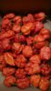 IMG-20181212-WA0001.jpg