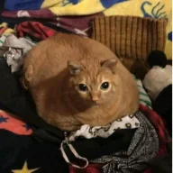 Ultimatix