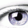 dalas