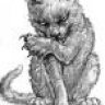 Greebo