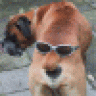 peteh