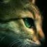MitzeKatze145