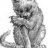 Greebo
