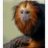 kinect47
