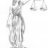 Themis