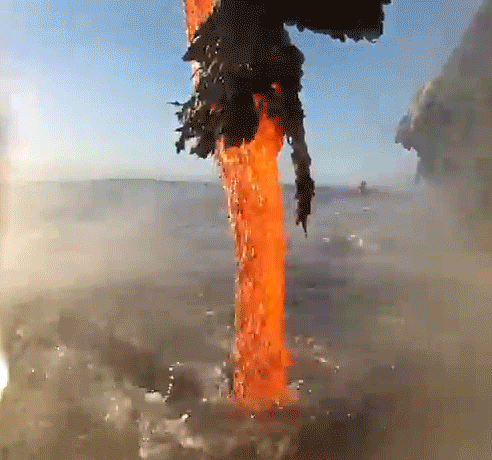 giphy.gif