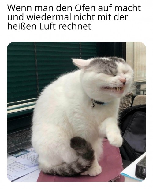 RgHbjjR.jpg